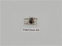 藏品(長毛長腳金龜)的圖片